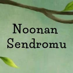 Noonan Sendromu